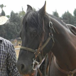 Rancho De Los Cielos