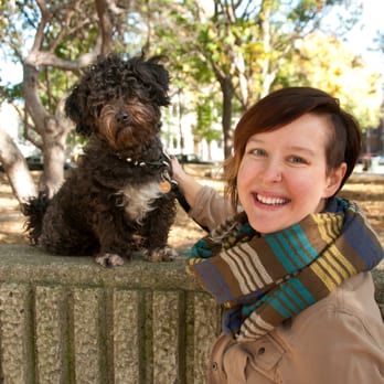 iPet Chicago - Dog Walkers Near Me