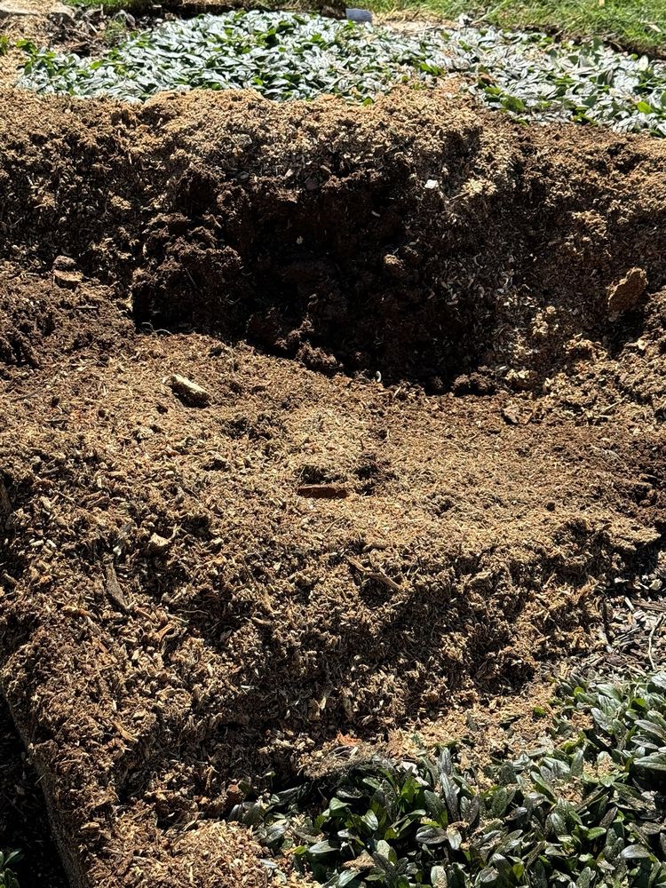 Brent's Stump Grinding - tree service in Huntsville, AL