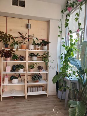 Pomarosa Coffee Shop & Kitchen by null