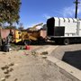 Photo of Castillo Tree Service