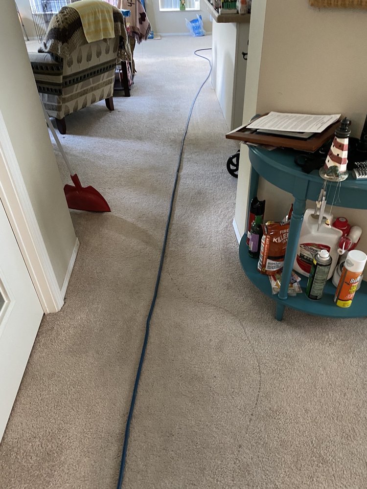 ELITE CARPET CLEANING Updated September 2024 73 Photos 4673 Farm