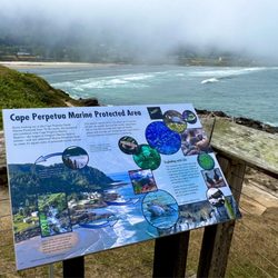 Yachats State Recreation Area - Lots of interesting info signs