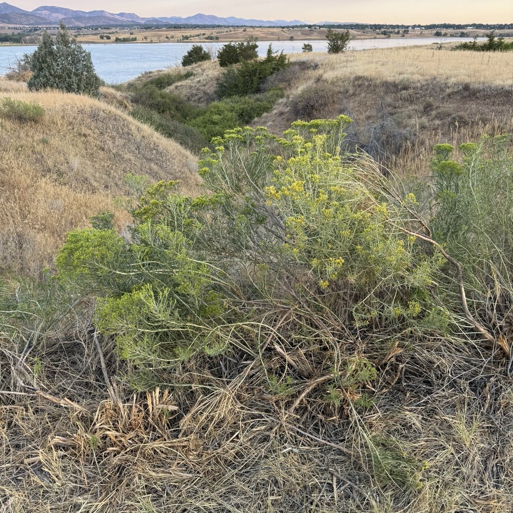 Chatfield State Park - Parks Near Me - Littleton, Colorado