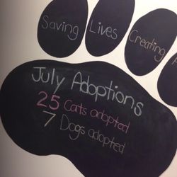 Kings SPCA