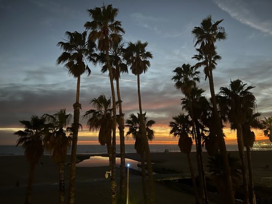 Terrazza by null