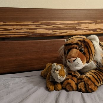 Bedrooms & More - Headboard of my new bed.  It's made of "tiger bamboo" ... I had to get it. - Furniture Stores Near Me - Seattle, Washington