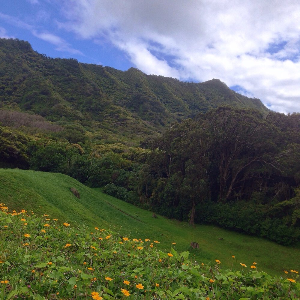 Lulumahu Falls - Hiking Near Me - Honolulu, Hawaii Lulumahu Falls - Hiking Near Me - Honolulu, Hawaii