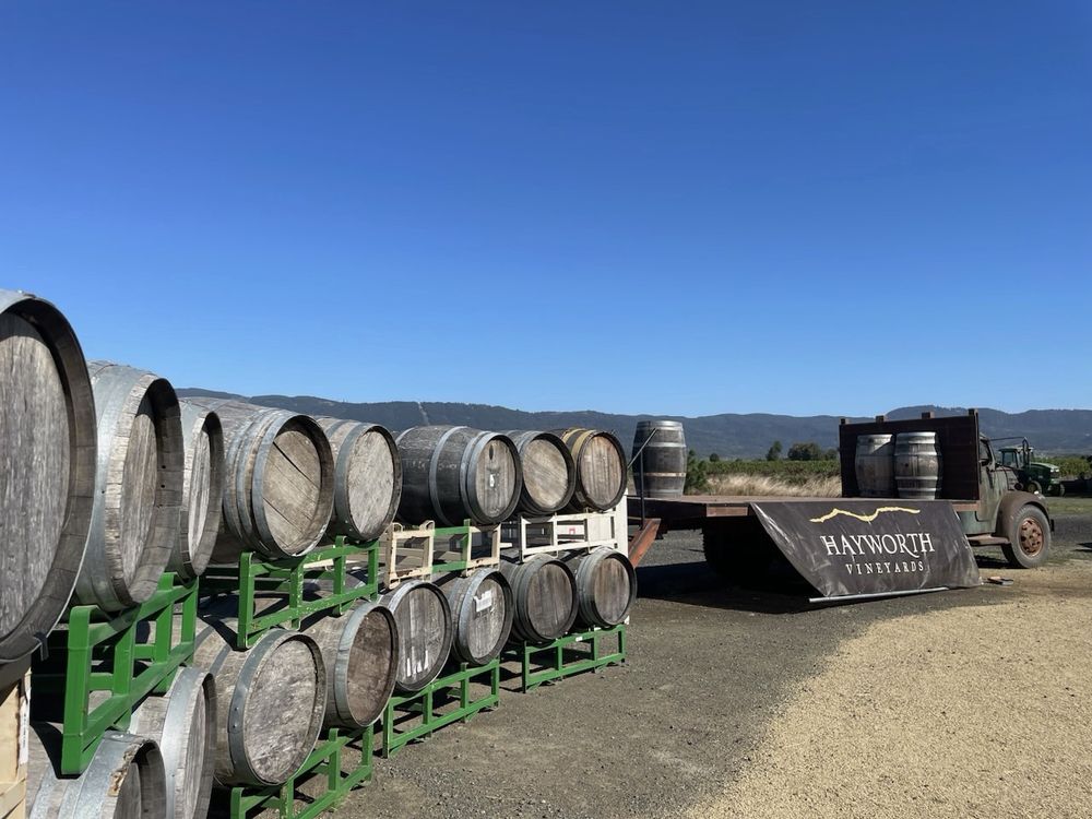 Hayworth Estate Wines - vineyard in Eugene, OR