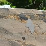 Photo of Salgau Roofing