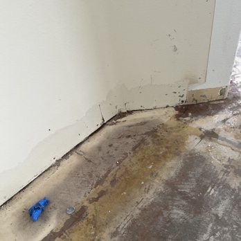 Rite Flow Plumbing - Walls damaged in hallway - Plumbing Near Me Rite Flow Plumbing - Walls damaged in hallway - Plumbing Near Me