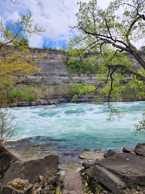 White Water Walk by null