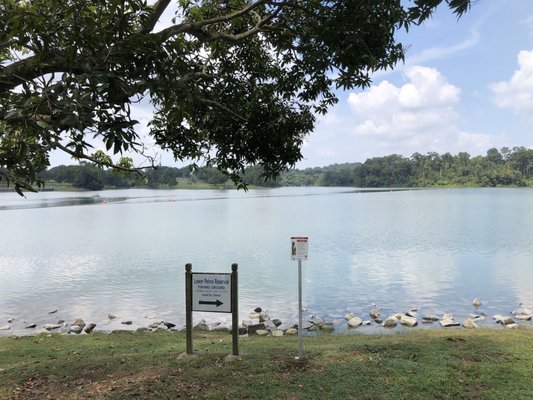 Lower Peirce Reservoir Park by null