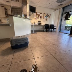 All Creatures Veterinary Emergency Clinic