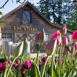 Starling Lane Vineyard - The Winery