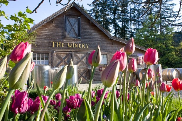 Starling Lane Vineyard Logo