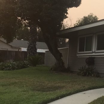 HLI Tree Experts - Before - Tree Services Near Me HLI Tree Experts - Before - Tree Services Near Me