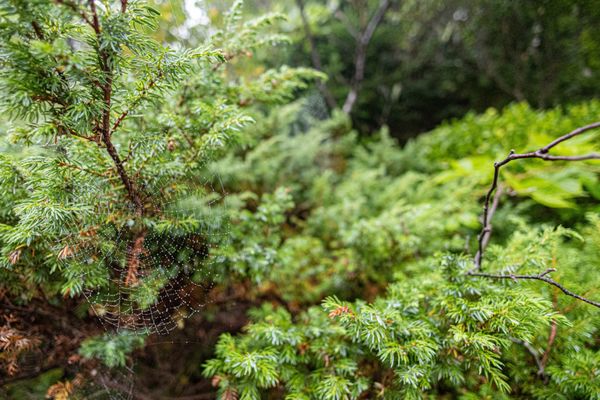 Owls Head State Park by null