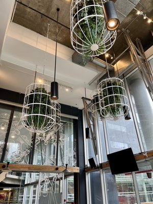 Ginkgo Café & Bar by null