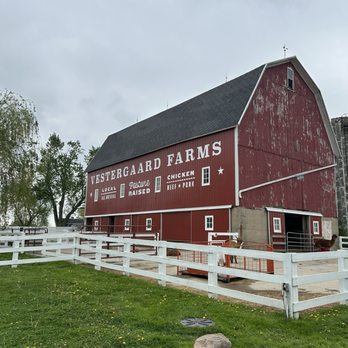 Vestergaard Farms - Farms Near Me - Ann Arbor, Michigan Vestergaard Farms - Farms Near Me - Ann Arbor, Michigan