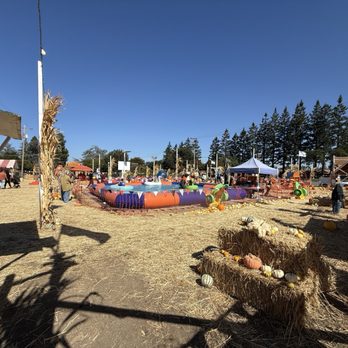 Queens Pumpkin Patch - Lots of fun for the kids, plenty of different rides and refreshments! A bit pricey, considering everything is à la carte. - Pumpkin Patches Near Me - Saratoga, California Queens Pumpkin Patch - Lots of fun for the kids, plenty of different rides and refreshments! A bit pricey, considering everything is à la carte. - Pumpkin Patches Near Me - Saratoga, California