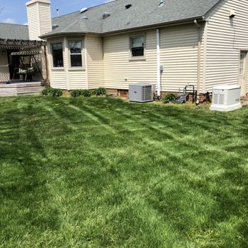 Economic Mowing - ...and this is the back yard! - Landscaping Near Me - Virginia Beach, Virginia Economic Mowing - ...and this is the back yard! - Landscaping Near Me - Virginia Beach, Virginia