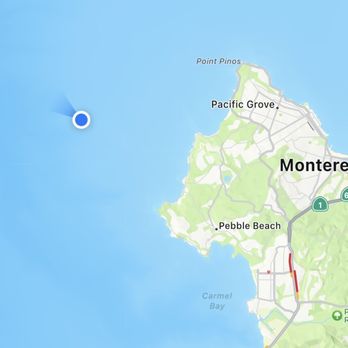 Discovery Whale Watch - Whale Watching Tours Near Me - Monterey, California