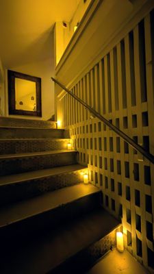 Only The Wild Ones by null