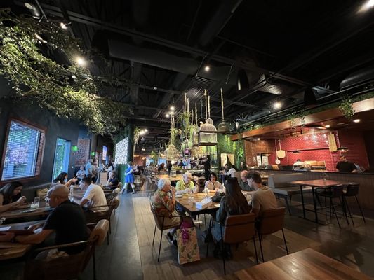 The Cage in Audubon by null