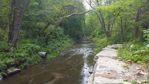 David A. Balfour Park by null