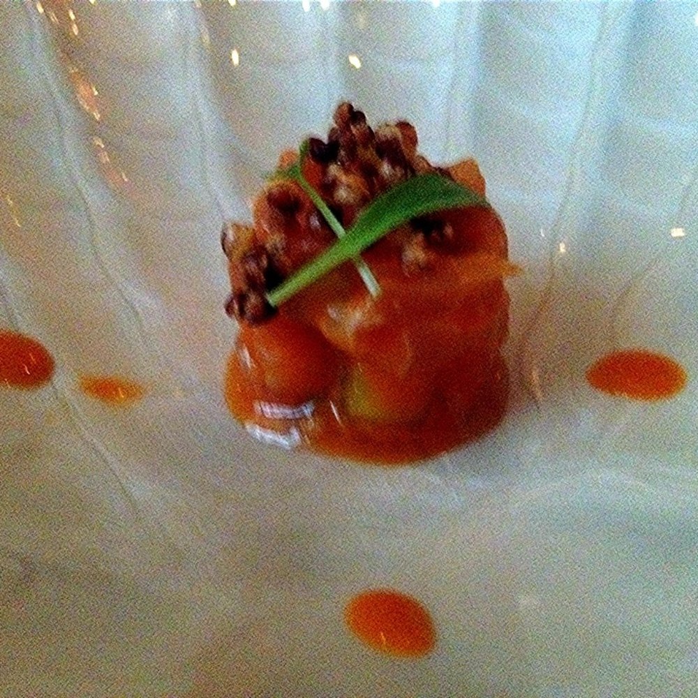 Campton Bar and Bistro - Amuse Bouche: Hamachi Tartare. Sorry bad lighting = bad quality pic. - New American Near Me - San Francisco, California