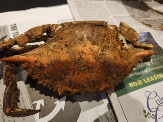 Ruff N Ready Crab House by null