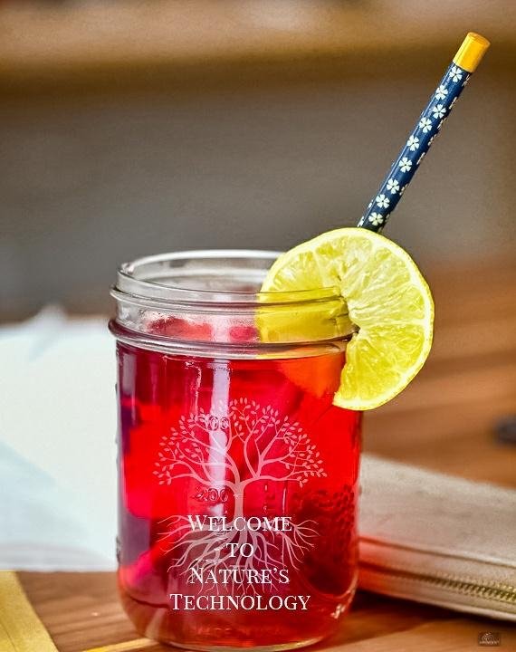 Nature’s Technology Logo