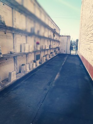 St Vincent De Paul Cemetery by null