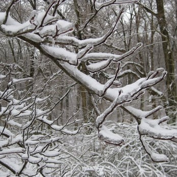 Chestnut Ridge Metro Park - Parks Near Me - Carroll, Ohio Chestnut Ridge Metro Park - Parks Near Me - Carroll, Ohio