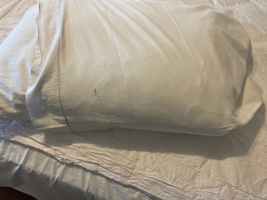 WRIGHT PATTERSON INN - Updated April 2025 - 67 Photos & 25 Reviews ...