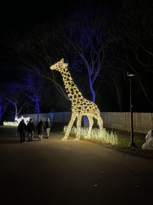 Milwaukee County Zoo by null