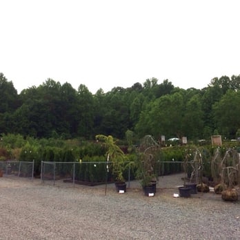 Meadows Farms Nurseries - Manassas - Nurseries & Gardening Near Me - Manassas, Virginia Meadows Farms Nurseries - Manassas - Nurseries & Gardening Near Me - Manassas, Virginia