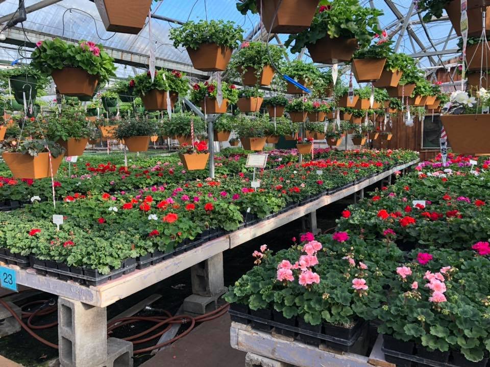 BELL’S NURSERIES & GIFTS Updated September 2024 7653 Cranberry St