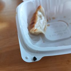 Black stone from gyoza