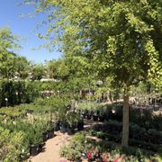 Arcadia Color Garden 2019 All You Need To Know Before Arcadia Color Garden 2019 All You Need To Know Before