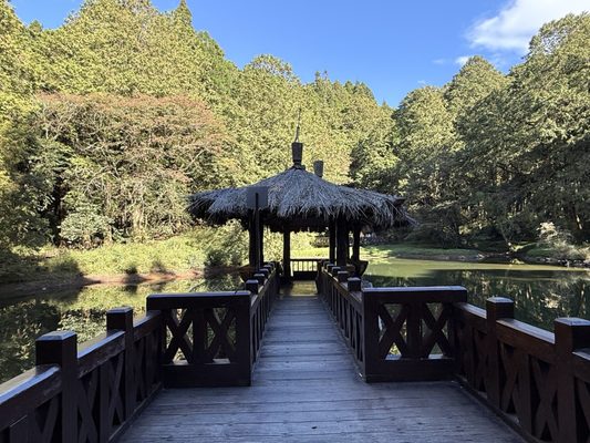 Chiayi County, Taiwan 605 by null