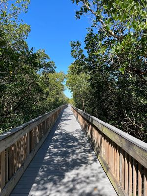 Weedon Island Preserve by null
