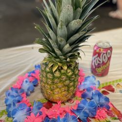 Chattahoochee Harley Davidson - Polynesian Luau party! 7/9/22