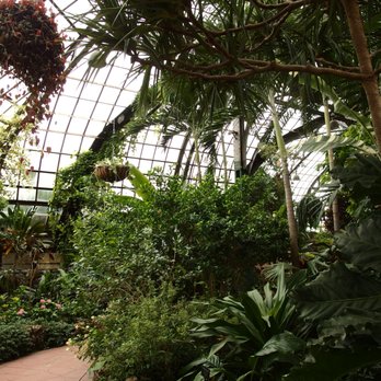 Lincoln Park Conservatory - inside the dome - Parks Near Me - Chicago, Illinois Lincoln Park Conservatory - inside the dome - Parks Near Me - Chicago, Illinois
