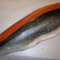 Righthouse Seafood - Arctic Char