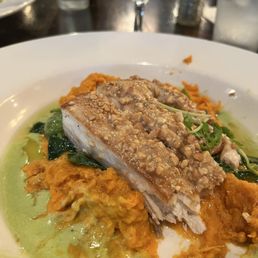 Mahi Mahi Mahi Mahi