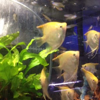 Moanalua Pets - Pet Stores Near Me - Honolulu, Hawaii Moanalua Pets - Pet Stores Near Me - Honolulu, Hawaii
