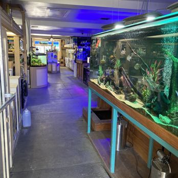 Aquarium City - Aquarium Services Near Me - Canoga Park, California