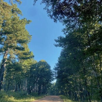 Sam Houston National Forest - Parks Near Me - New Waverly, Texas